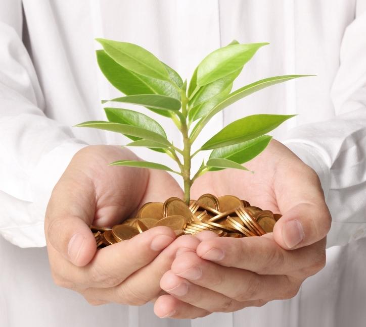 Buyers Agent Budget 